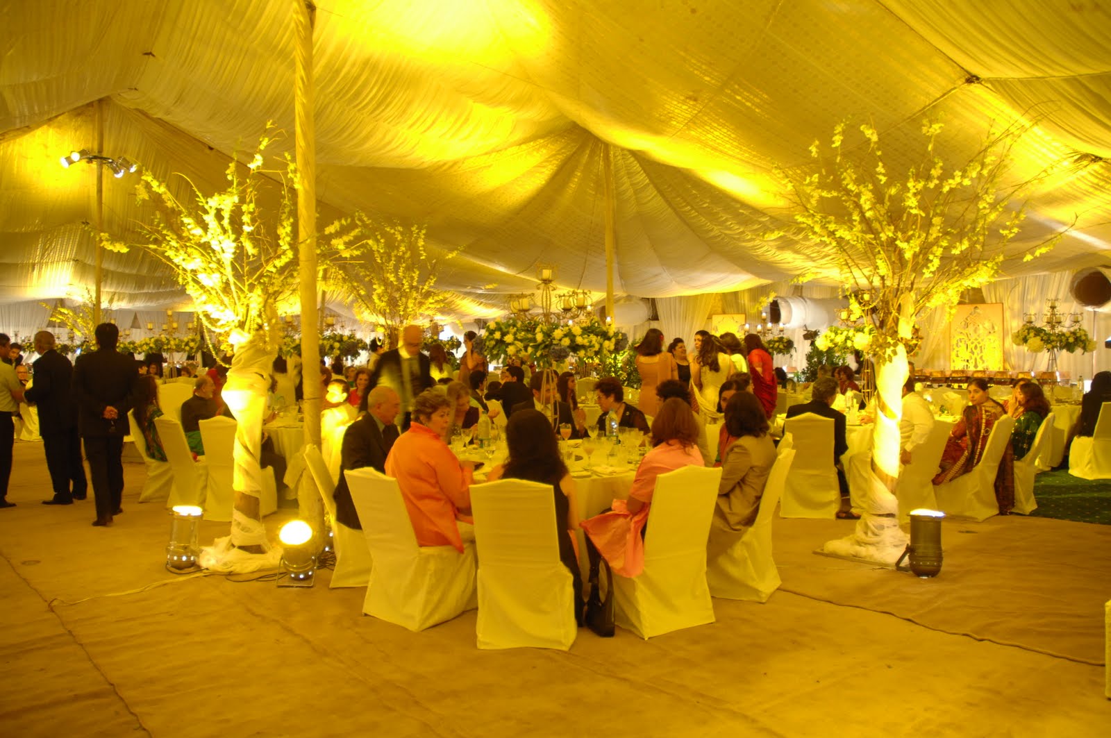Wedding Set Ups, Stages, Entrance & Bridal Groom Dress Wedding Set Ups