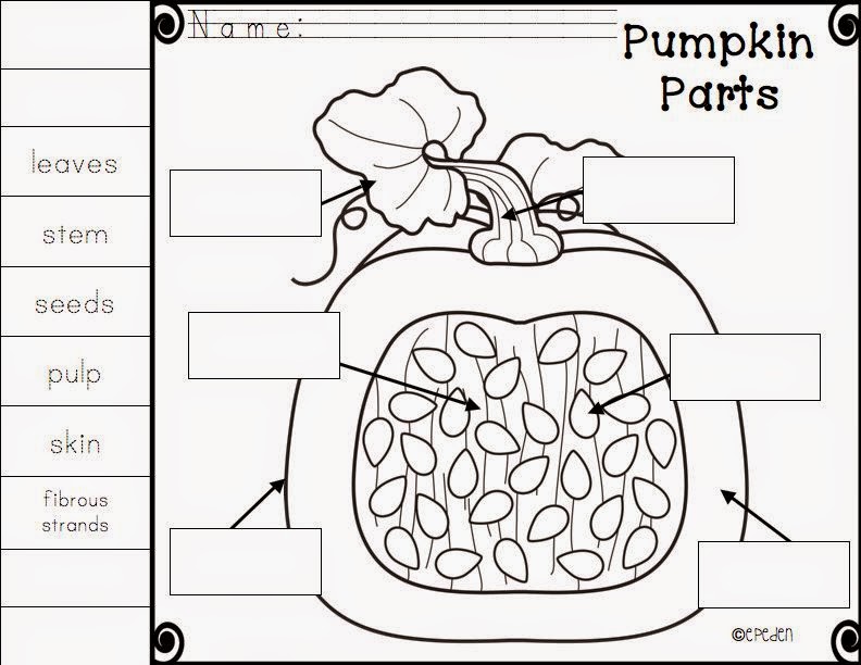 A Neighborhood Kindergarten : Pumpkin Patch CCSS Math, Science, & ELA ...