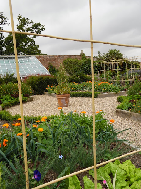 angielski ogród kuchenny, warzywny