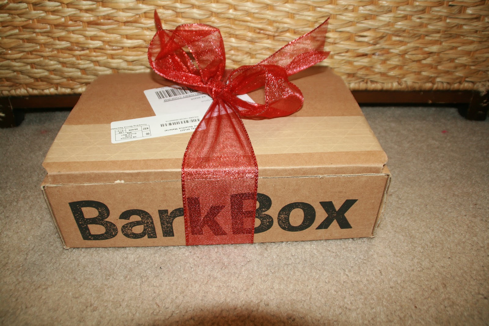 Lil'Tykes&TheTaillessTornados BarkBox December Review + Coupon Code