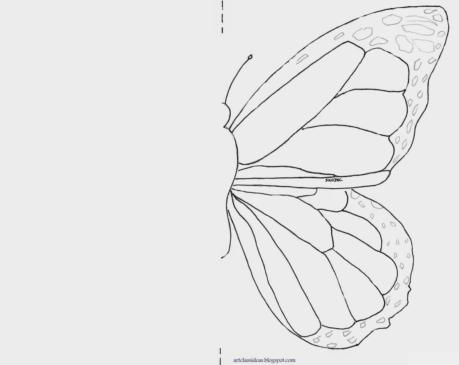 art-class-ideas-butterfly-symmetry