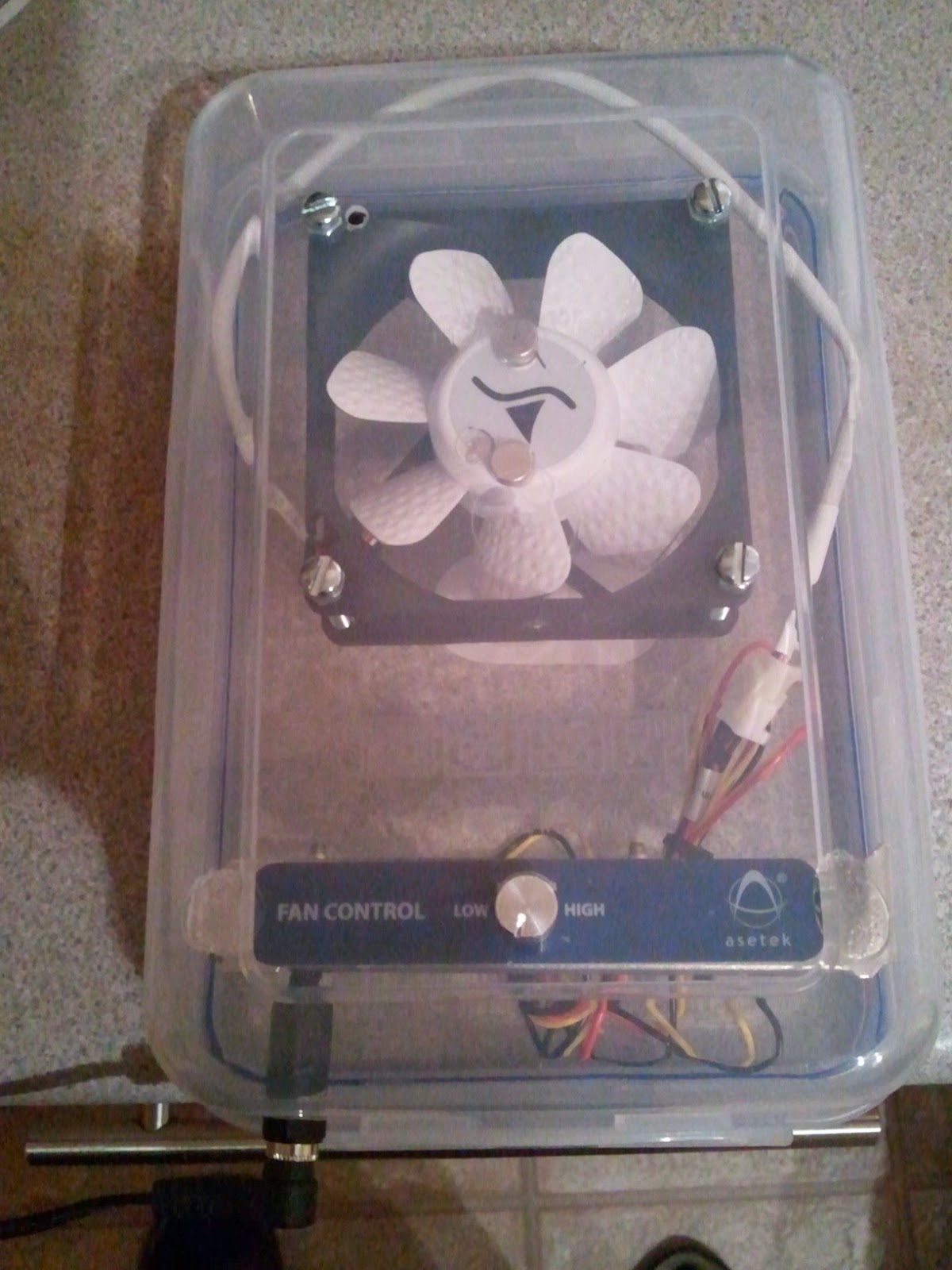 Eating Oranges and Making IDs stirrer....