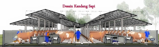  Usaha ternak sapi sampai saat ini dianggap sebelah mata oleh masyarakat Indonesia Usaha Ternak Sapi Rumahan di Indonesia