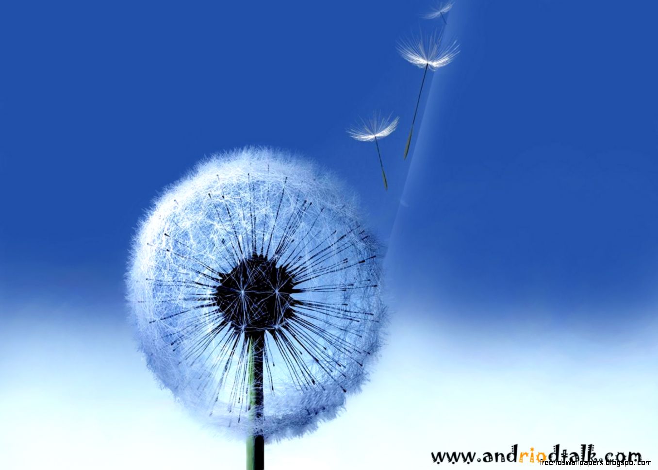 Samsung Galaxy S Live Wallpapers Free Hd Wallpapers