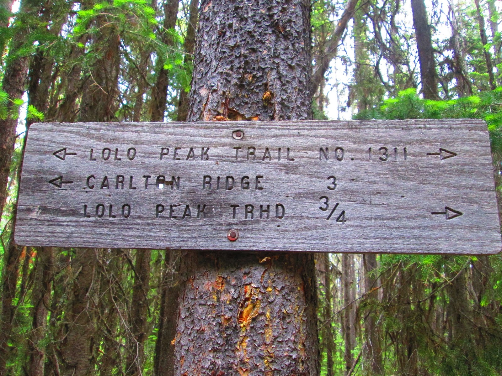 (This is) The Story of a Girl Lolo Peak