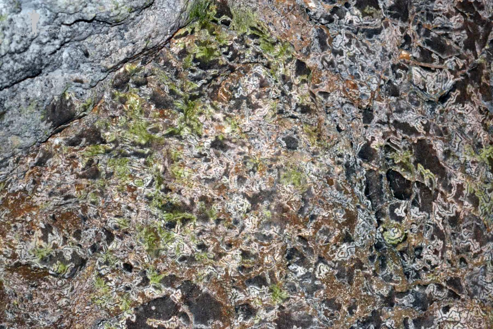 Culoarul Rucar - Bran