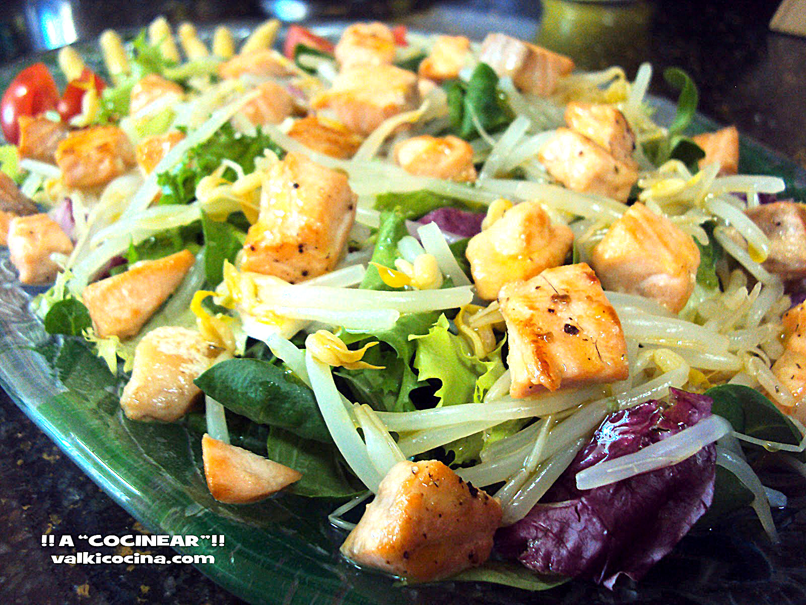 ENSALADA TEMPLADA DE SALMÓN FRESCO Y GERMINADOS ¡¡A COCINEAR