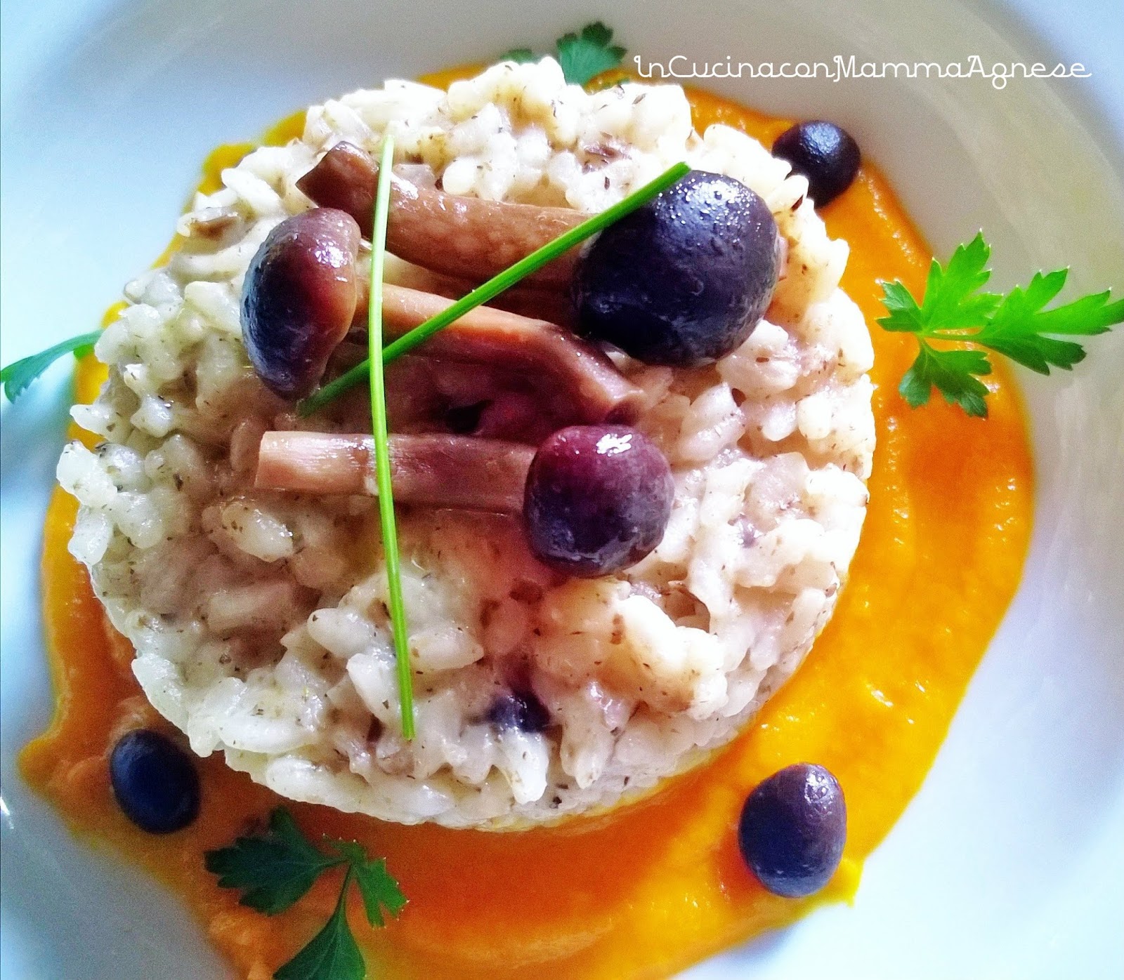 Risotto ai Funghi Chiodini su Crema di Carote all'Asiago In Cucina