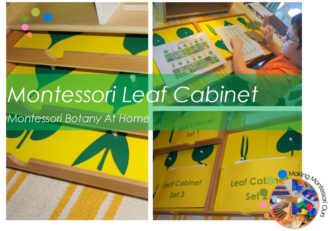 Montessori Leaf Montessori Botany At Home Part 2 "Making
