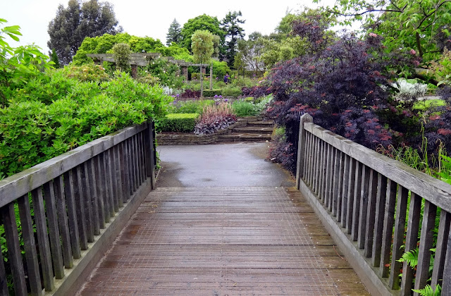 bridges to run across