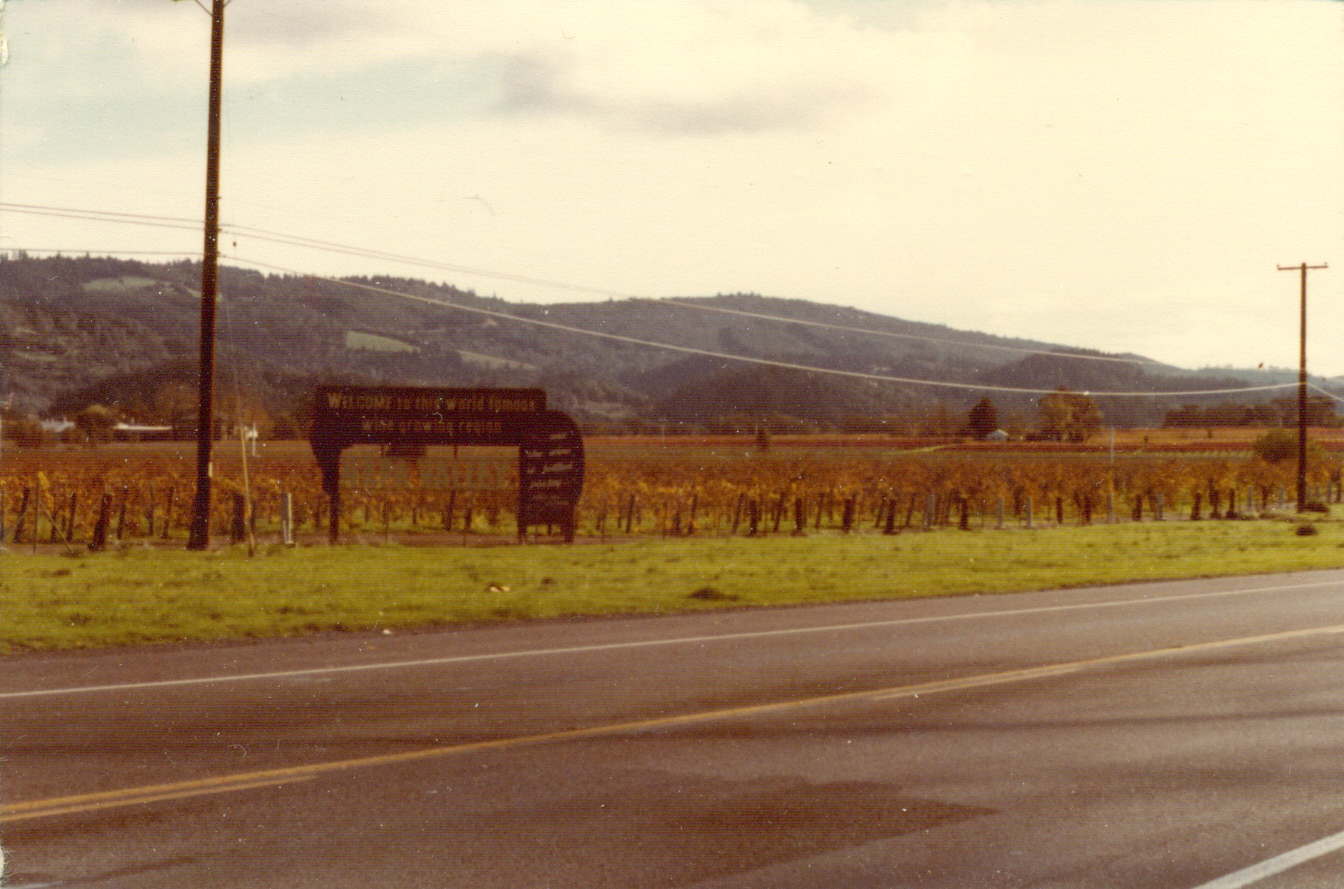 Armand's Rancho Del Cielo RV Camping In Napa Valley Refreshing
