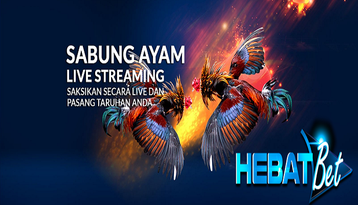 hebatayam.png