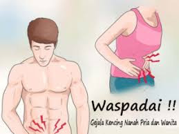 Obat kencing nanah tradisional