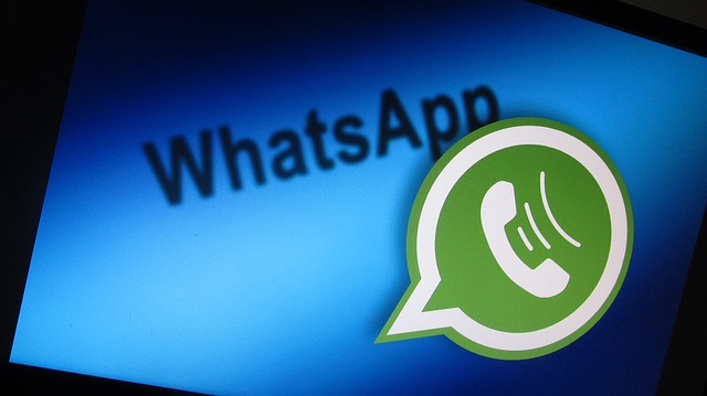 Download apk whatsapp gb download apk whatsapp gb