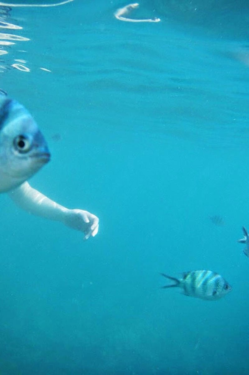 30 Pictures Taken At The Right Moment - You DON’T ever want to run into a fish with arms!