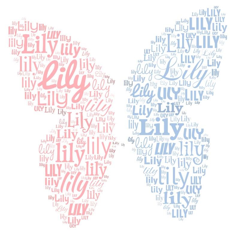 Rose and Her Lily Lily's Name Butterfly