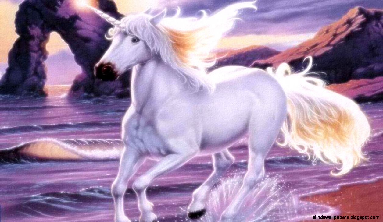 Wallpapers Facbook Free Hd Awesome Fantasy Horse Facebook Timeline