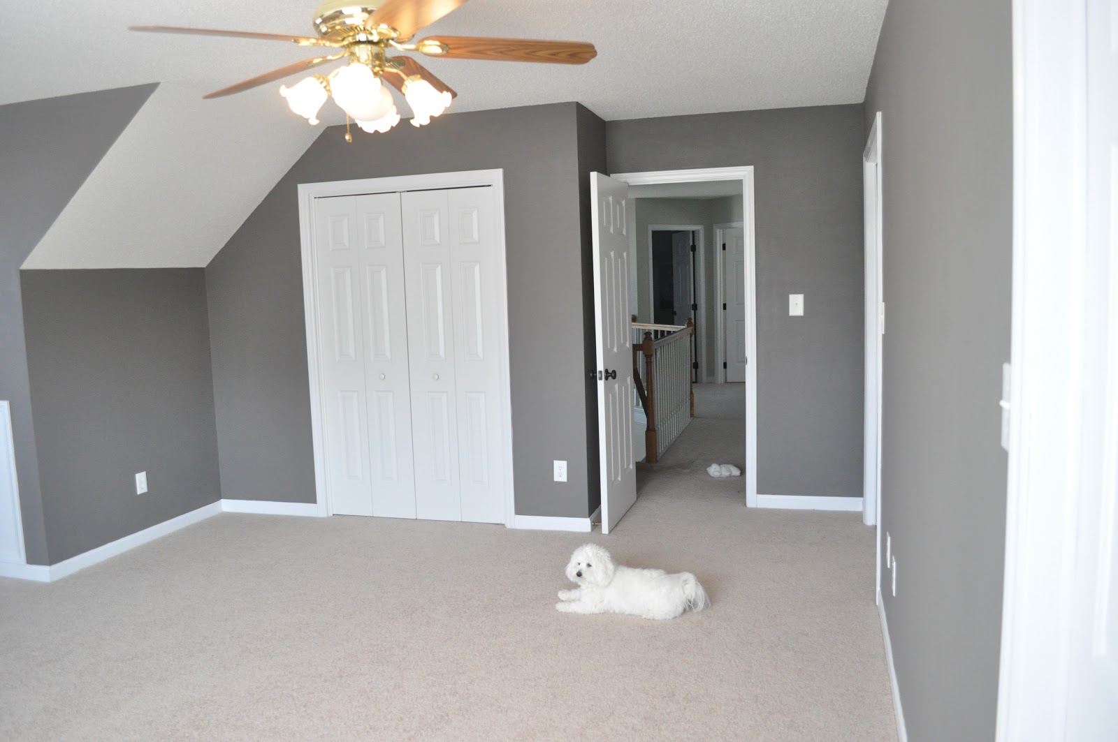 Not So Newlywed McGees Media Room Paint