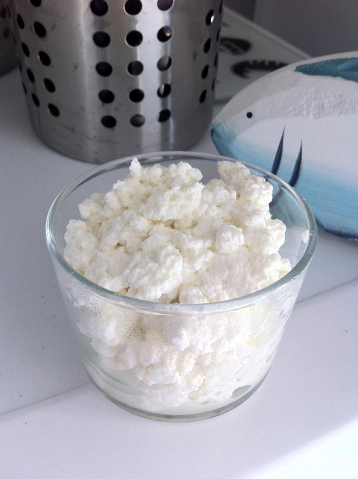 Nefis Bebek Yemekleri Ev Yapımı Tuzsuz Lor Peyniri