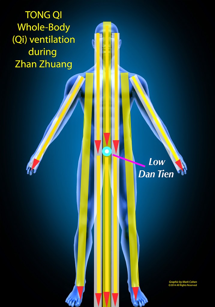Nine Heaven Chi Gung Clinic Maui TONG QI in Zhan Zhuang Practice