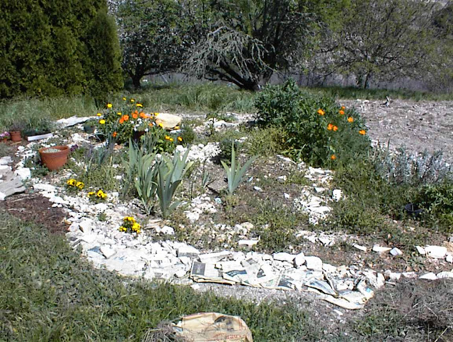 Expanding Herb Garden in April, 2007 My Neglected Templeton Garden in June