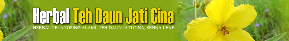 Teh Daun Jati Cina Indonesia