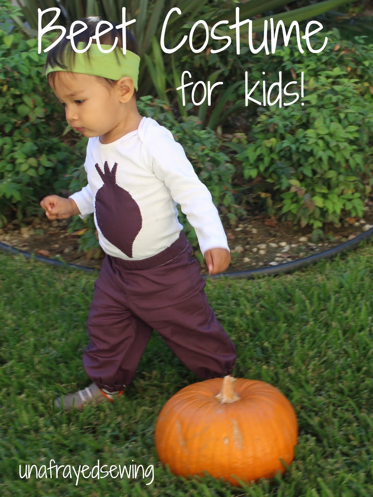 Unafrayed Kids Beet Costume