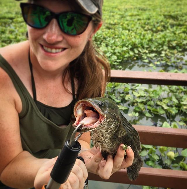 A View from the Beach Virginia Produces World Record Snakehead