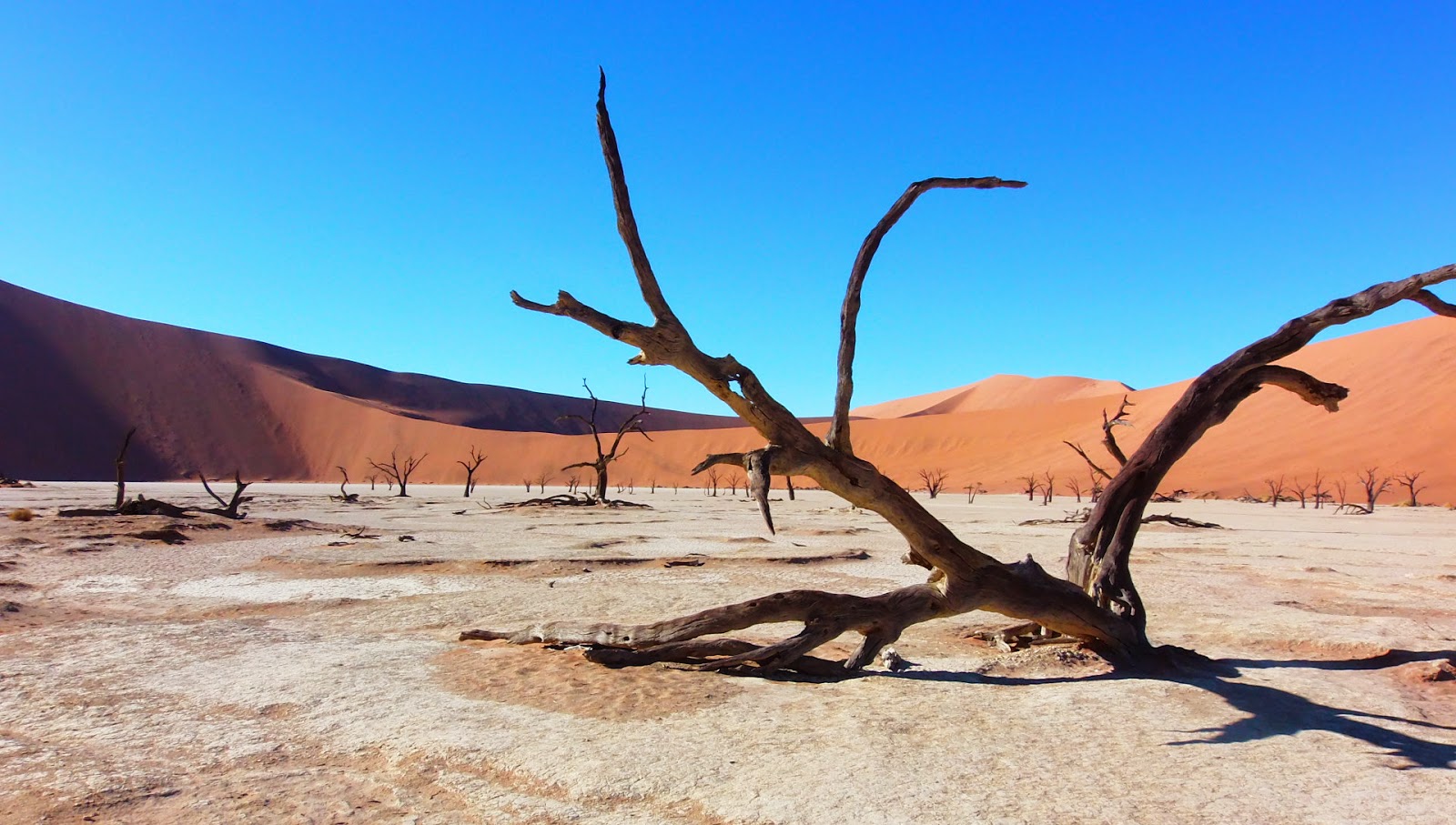 Африка намибия