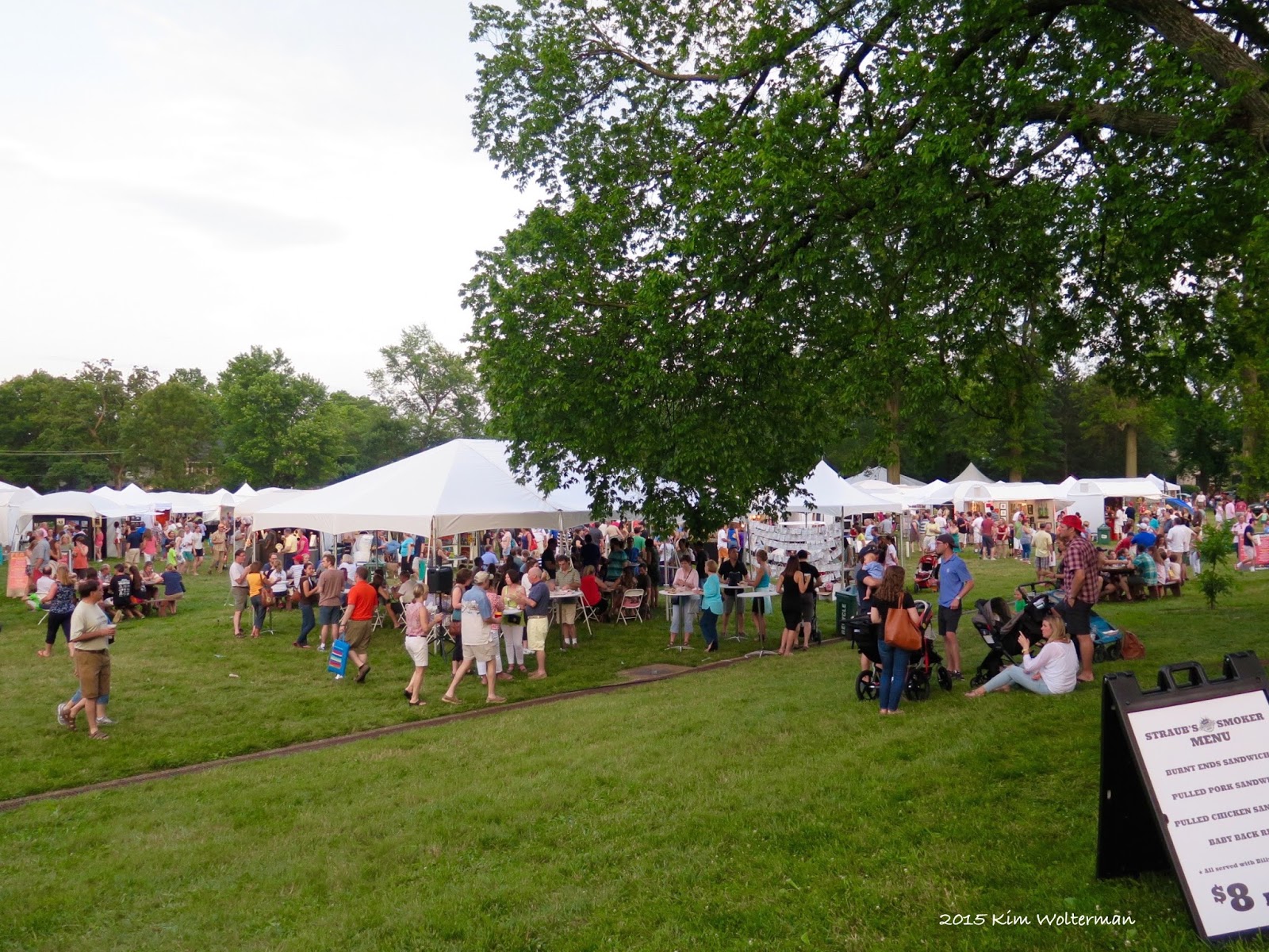 Kim Wolterman Webster Groves Art & Air