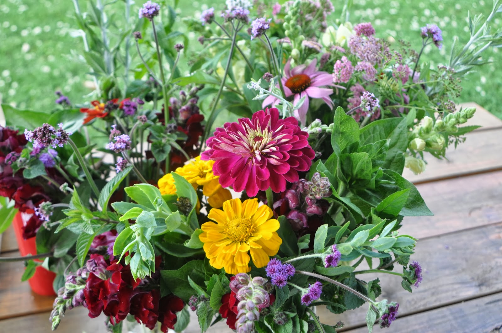 north-carroll-community-school-garden-project