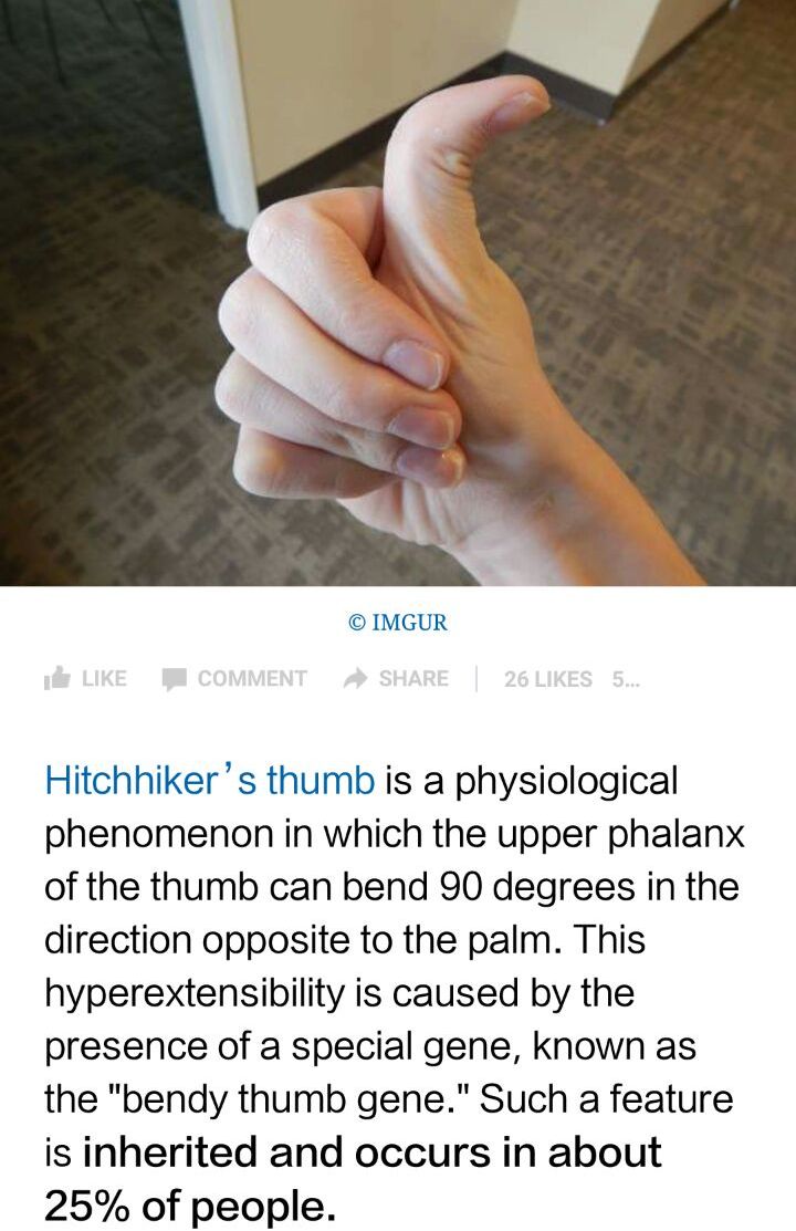 taufanyanuar Hitchhiker's Thumbs