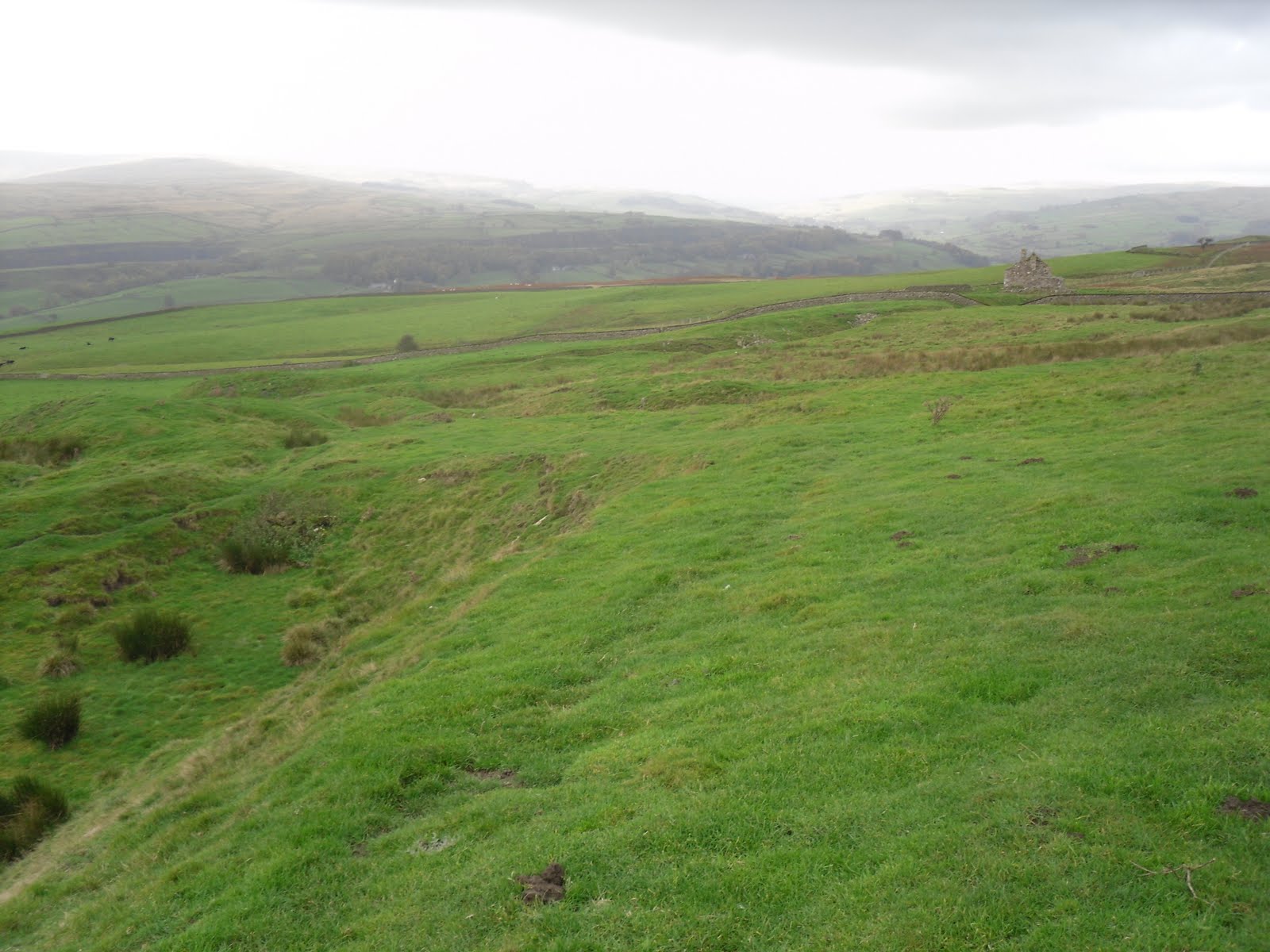 Rambling Nana Stanhope & Wolsingham Park Moor