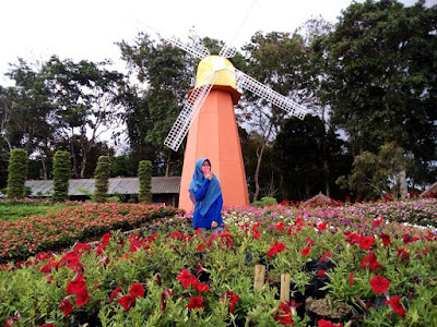 Lokasi Taman Bunga Celosia Bandungan Semarang