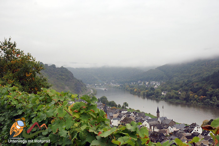 100 Eifel Die Touren Des Herrn Schraegseite 124 Mtb News De