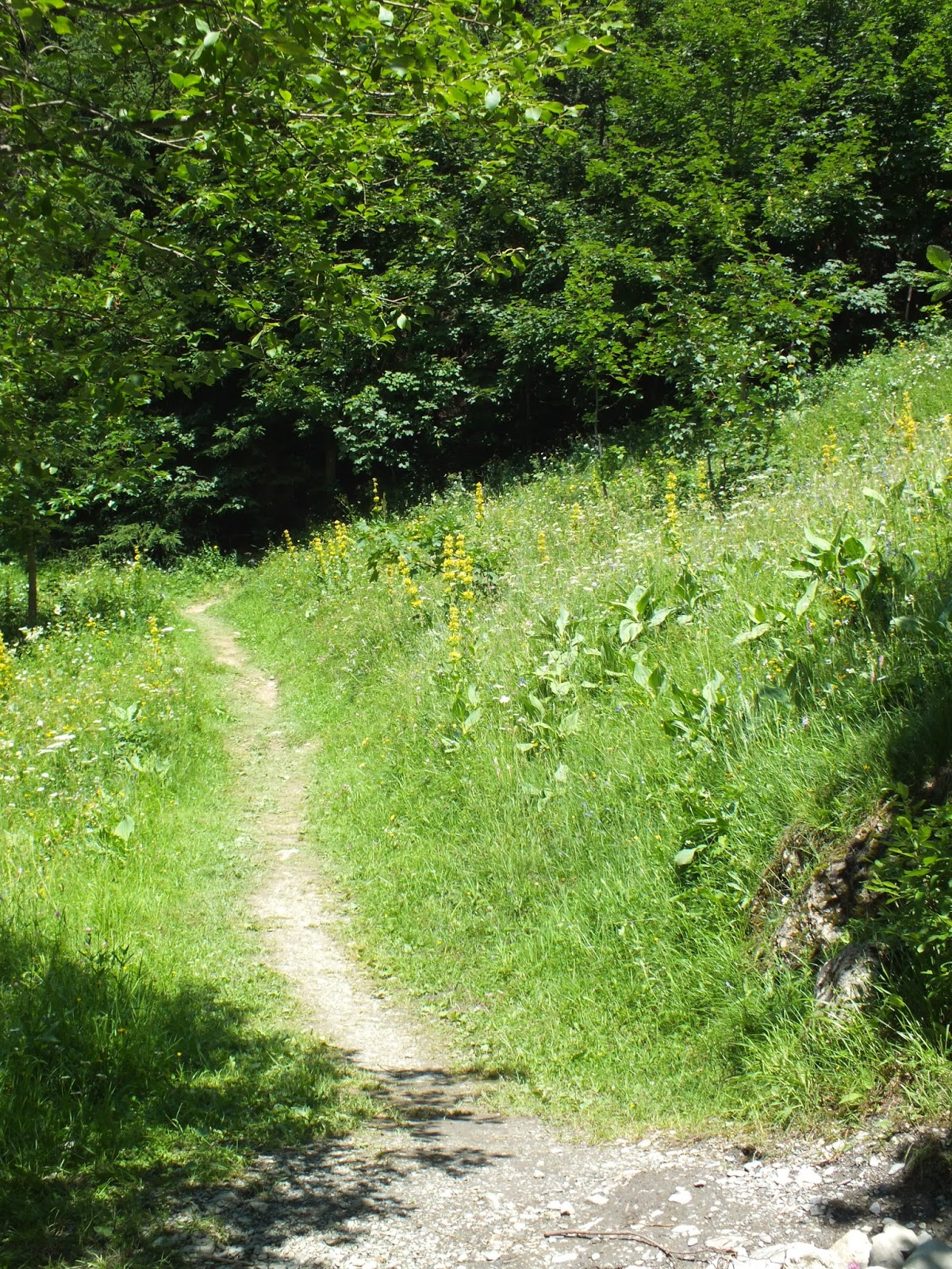 FABULO LA FEMME PROFONDE