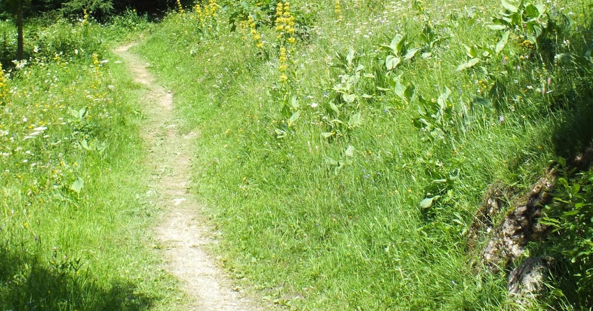 FABULO LA FEMME PROFONDE