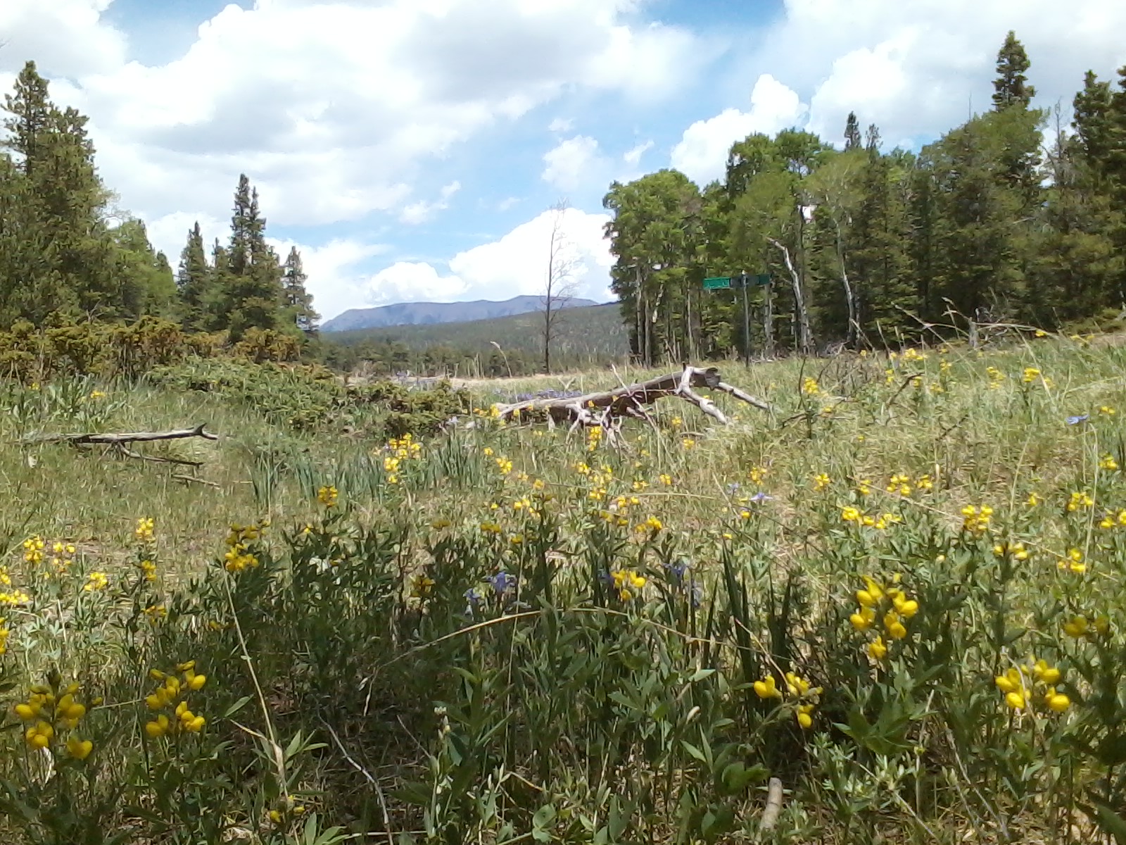 Forbes Park Colorado Information