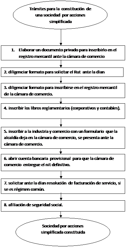 CACEGAER S A S FLUJOGRAMA DE CONSTITUCION DE UNA S A S