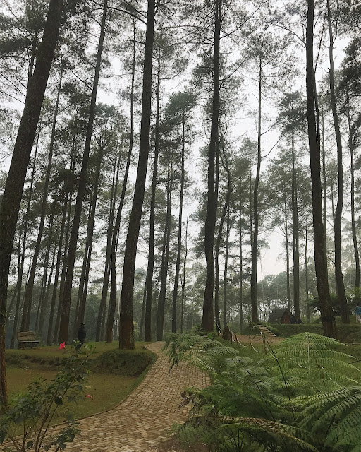 WONDERFUL NOON: White of Wonders