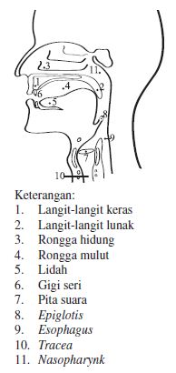 Bermusik dengan menggunakan organ suara manusia disebut