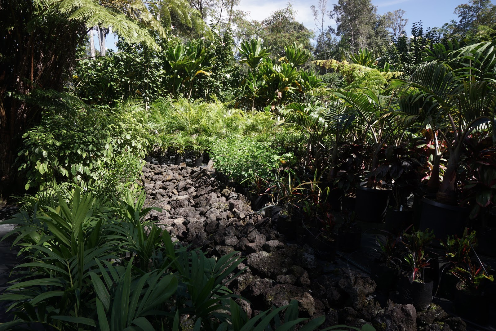 South Kona Nursery