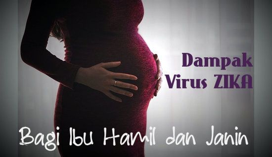 Dampak Virus Zika Bagi Ibu Hamil dan Janin Dampak Virus Zika Bagi Ibu Hamil dan Janin