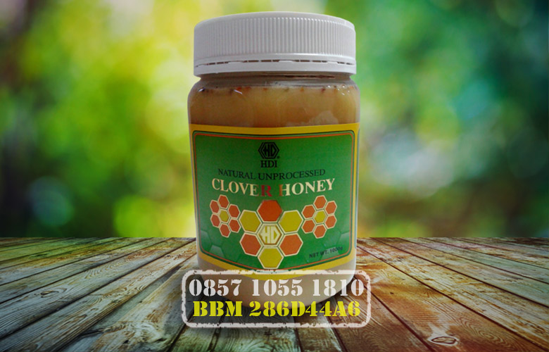 Clover Honey Madu Murni Kental Higienis Tanpa Pemanasan | Produk HDI