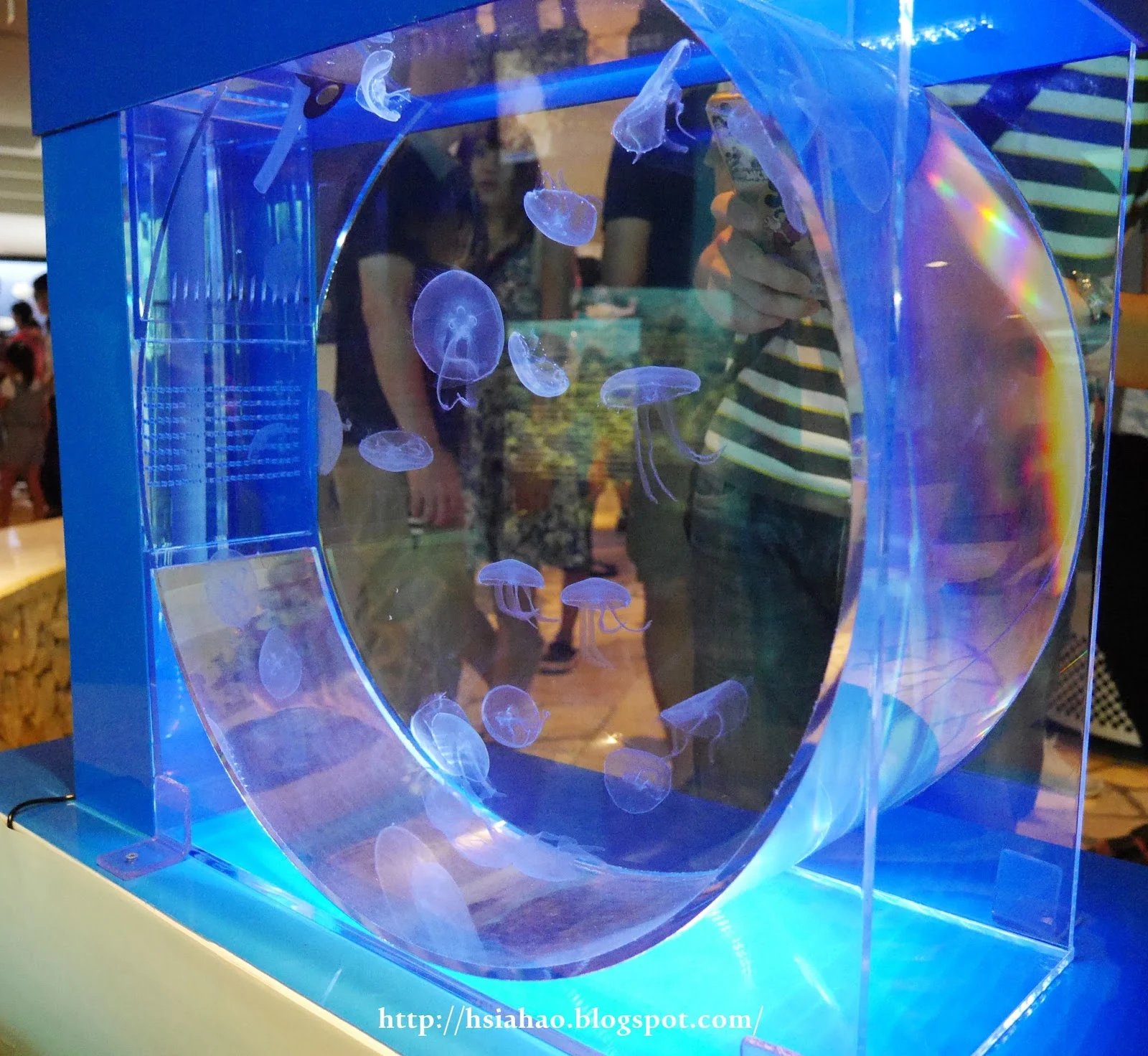 沖繩-海洋博公園-美麗海水族館-水母-景點-自由行-旅遊-旅行-okinawa-ocean-expo-park-Churaumi