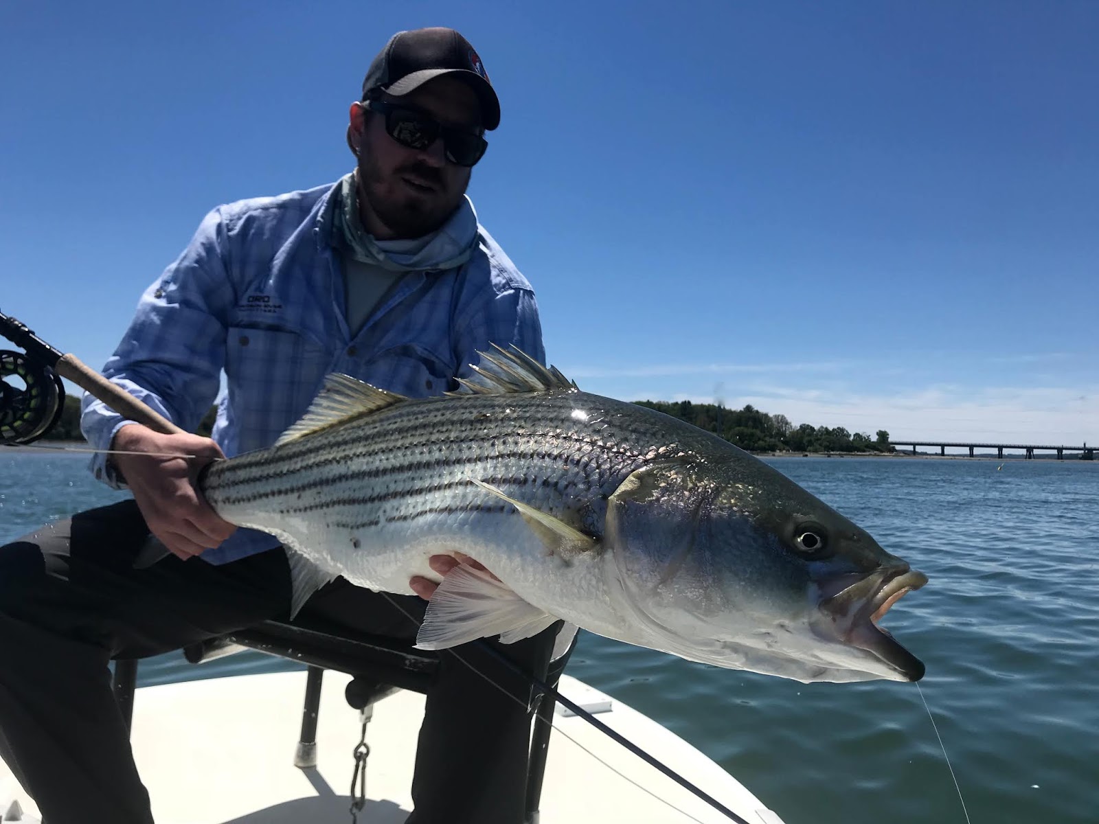Maine Striper Fishing Reports