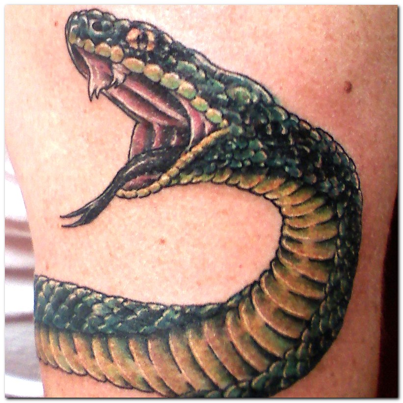 snake tattoos designs