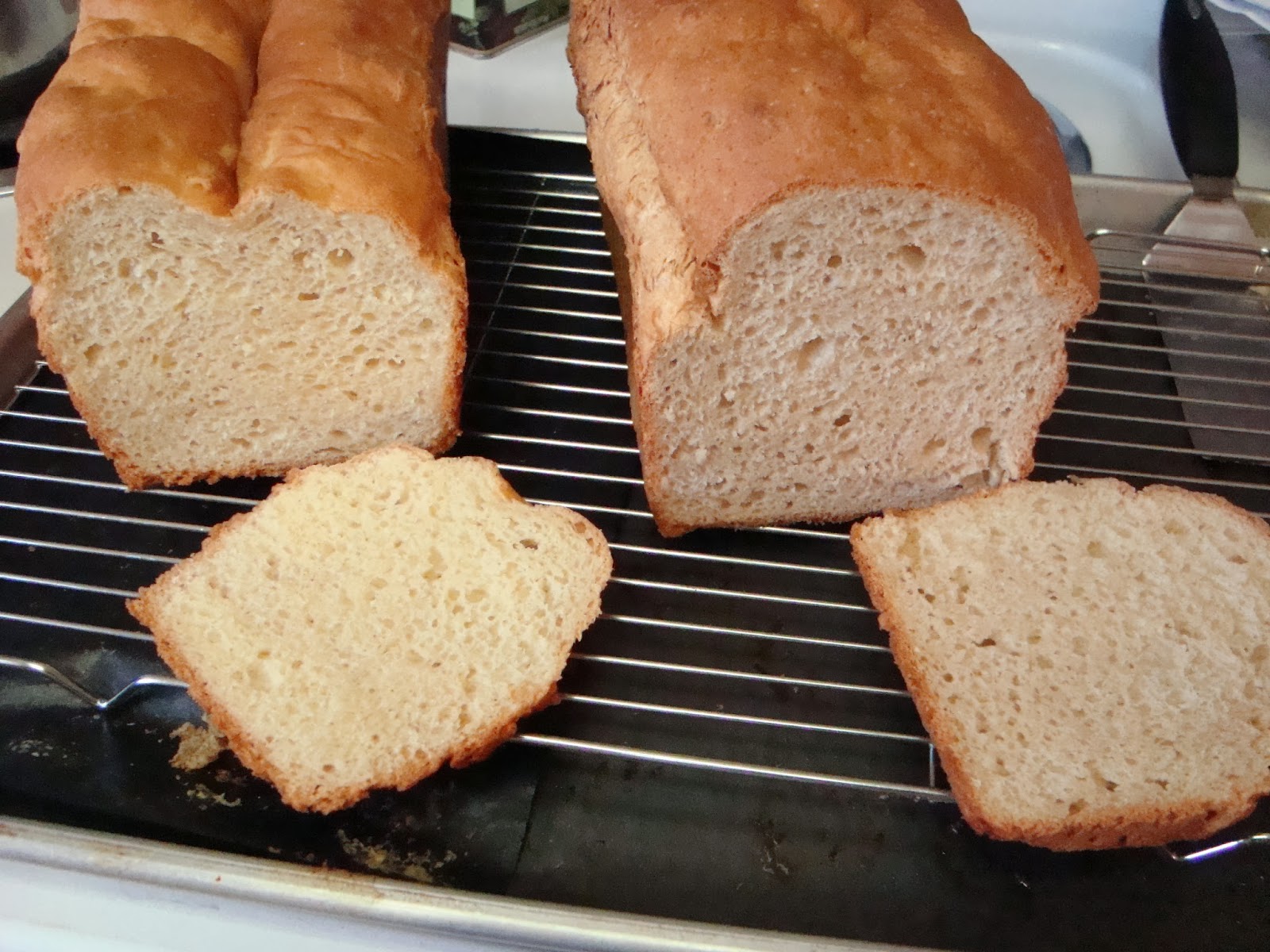 Wiggle, Poke, Giggle, Zoom High Altitude Gluten Free Bread Recipe