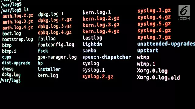 Kasino Mewah Diretas, Hacker Gasak Database Penjudi