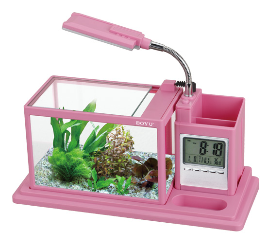 Get it in pink Everything pink Pink aquarium